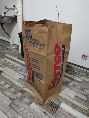 2plyクラフトの大きい芝生の紙袋の庭ゴミのペーパー屑は防止湿気を袋に入れる